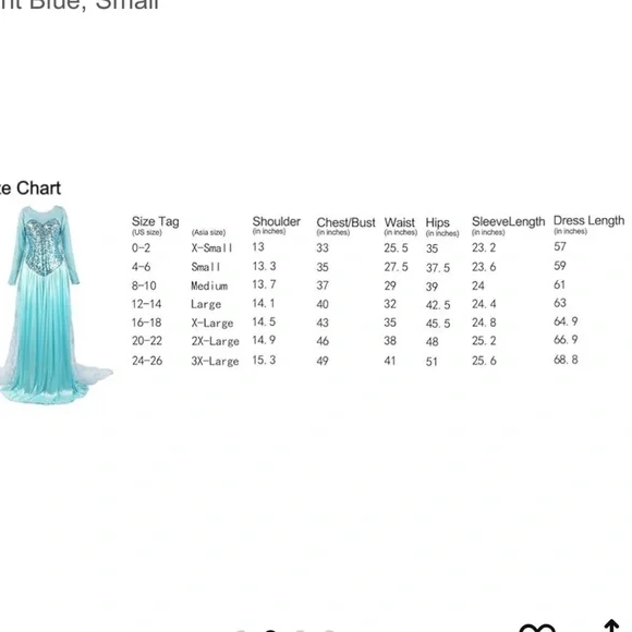 Adult Elsa Frozen Dress Costume - Picture 4 of 11